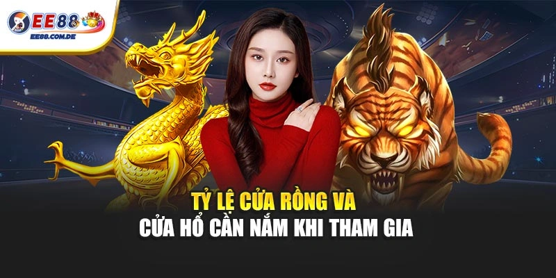 Tỷ lệ cửa Rồng và cửa Hổ cần nắm khi tham gia